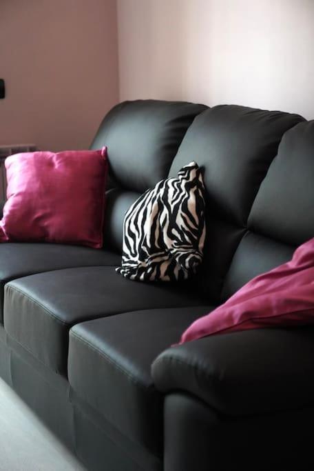 Cipro Pink House Rom